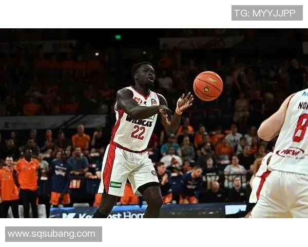 孟菲斯灰熊迎战休斯顿火箭力争主场胜利捕获胜利之熊